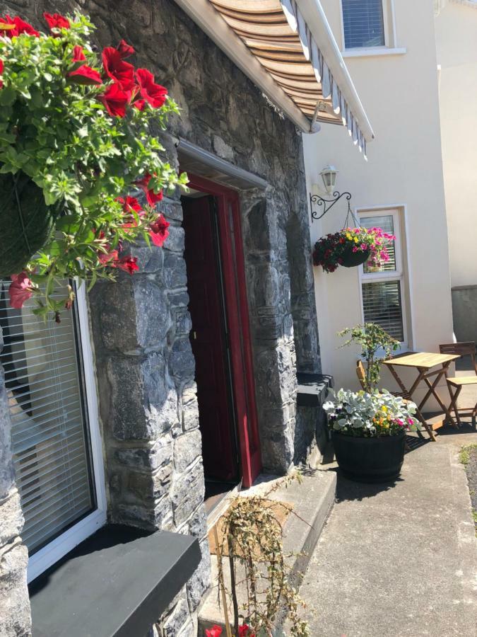 Amber Heights Bed & Breakfast Galway Exterior foto